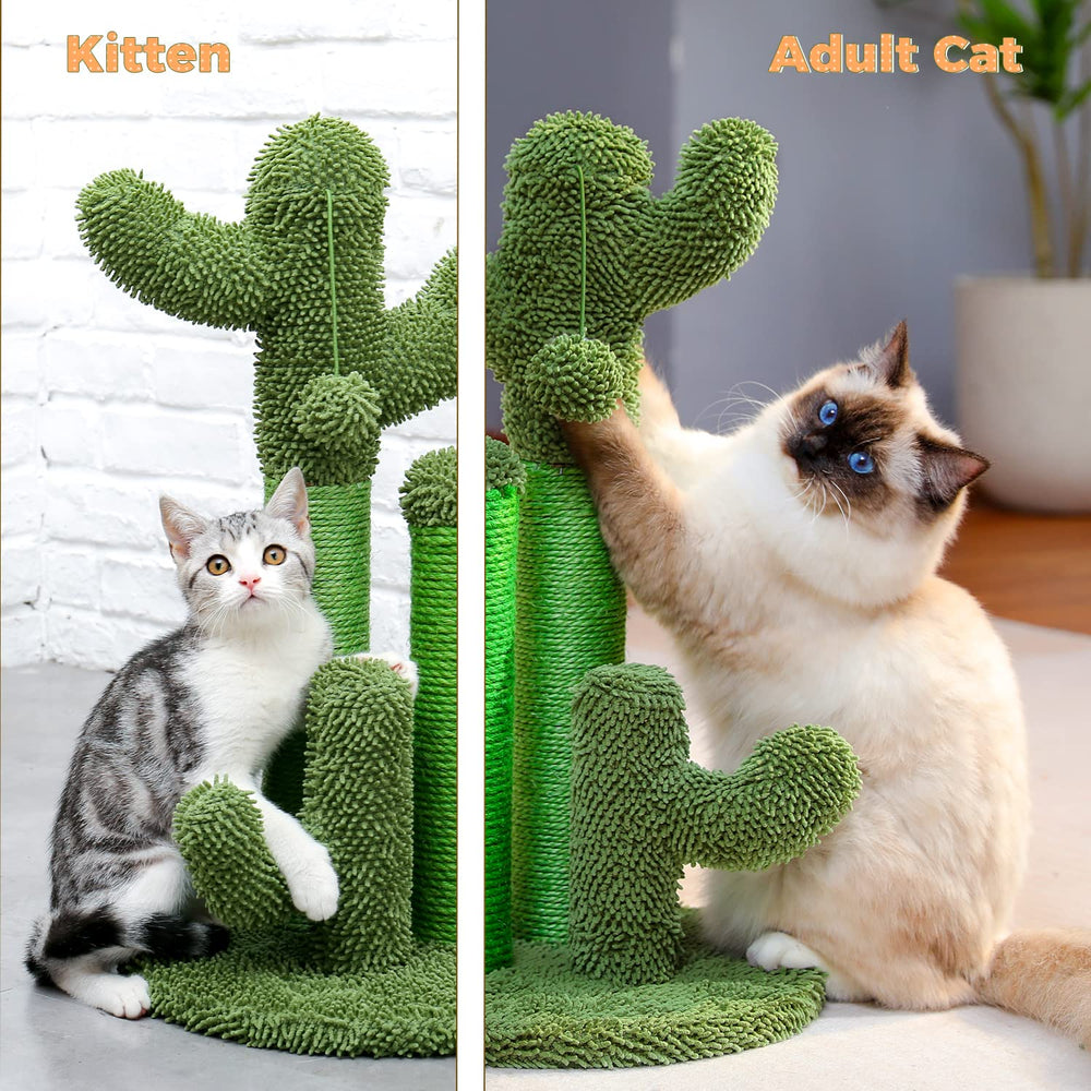 PAWZ Road cactus cat scratcher complements modern decor in any room.