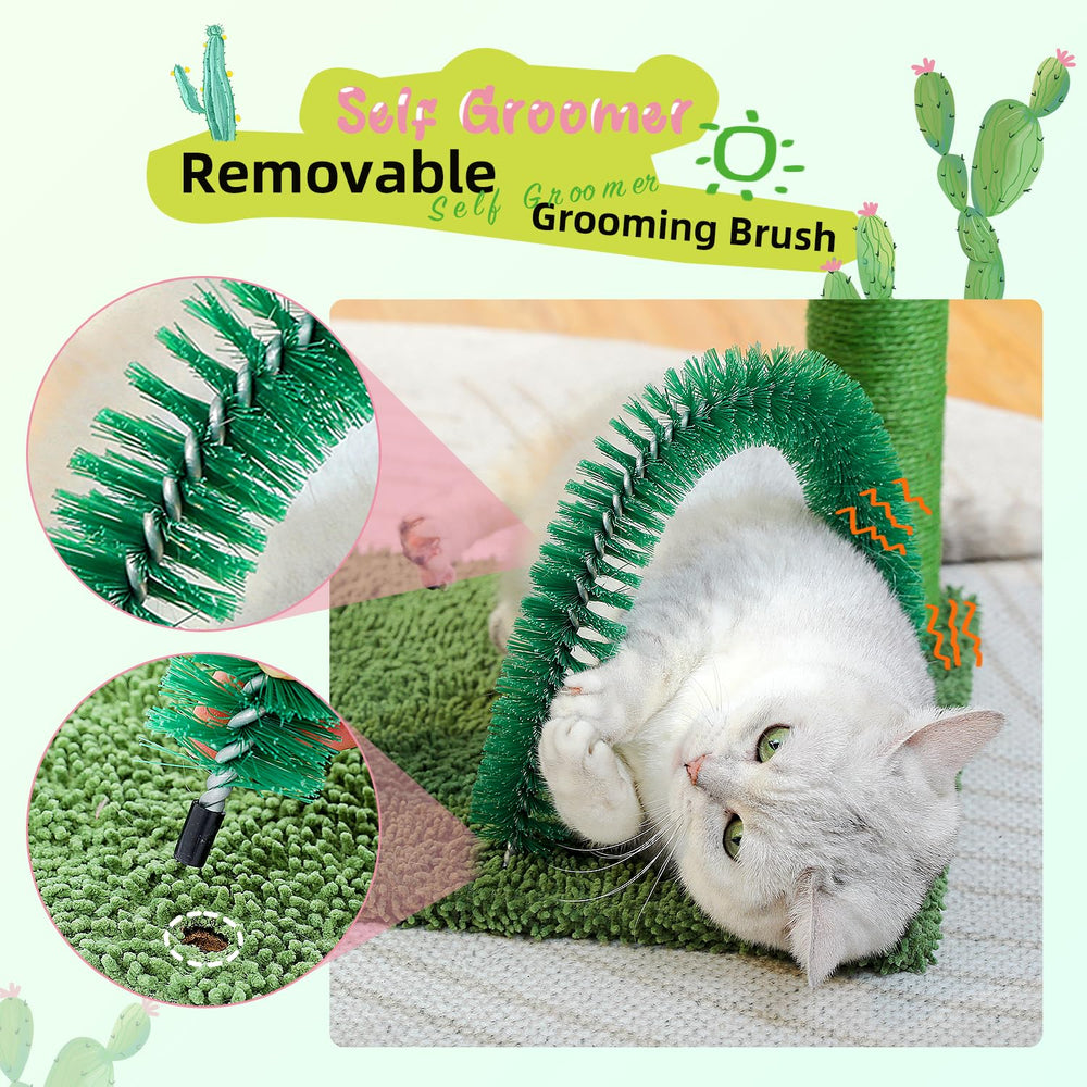 PAWZ Road cactus cat tree easy assembly with included tools