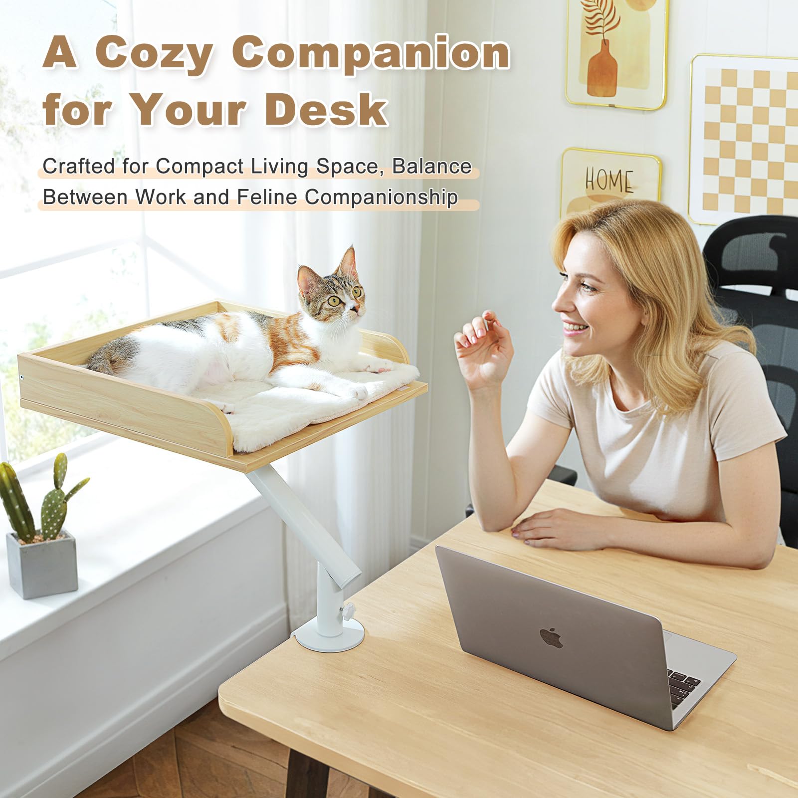 PAWZ Road cat desk bed elevated lounging spot for near-work cat companion