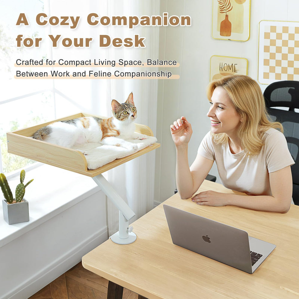 PAWZ Road cat desk bed elevated lounging spot for near-work cat companion