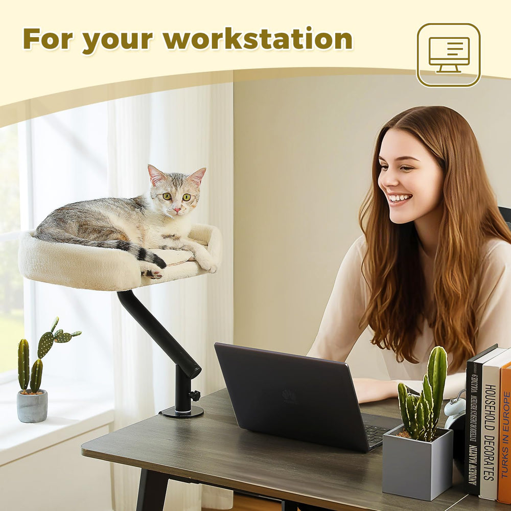 PAWZ Road cat desk bed supports up to 50 lbs for secure lounging.