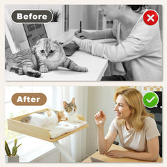 PAWZ Road cat desk bed with wood-core support for safety and stability