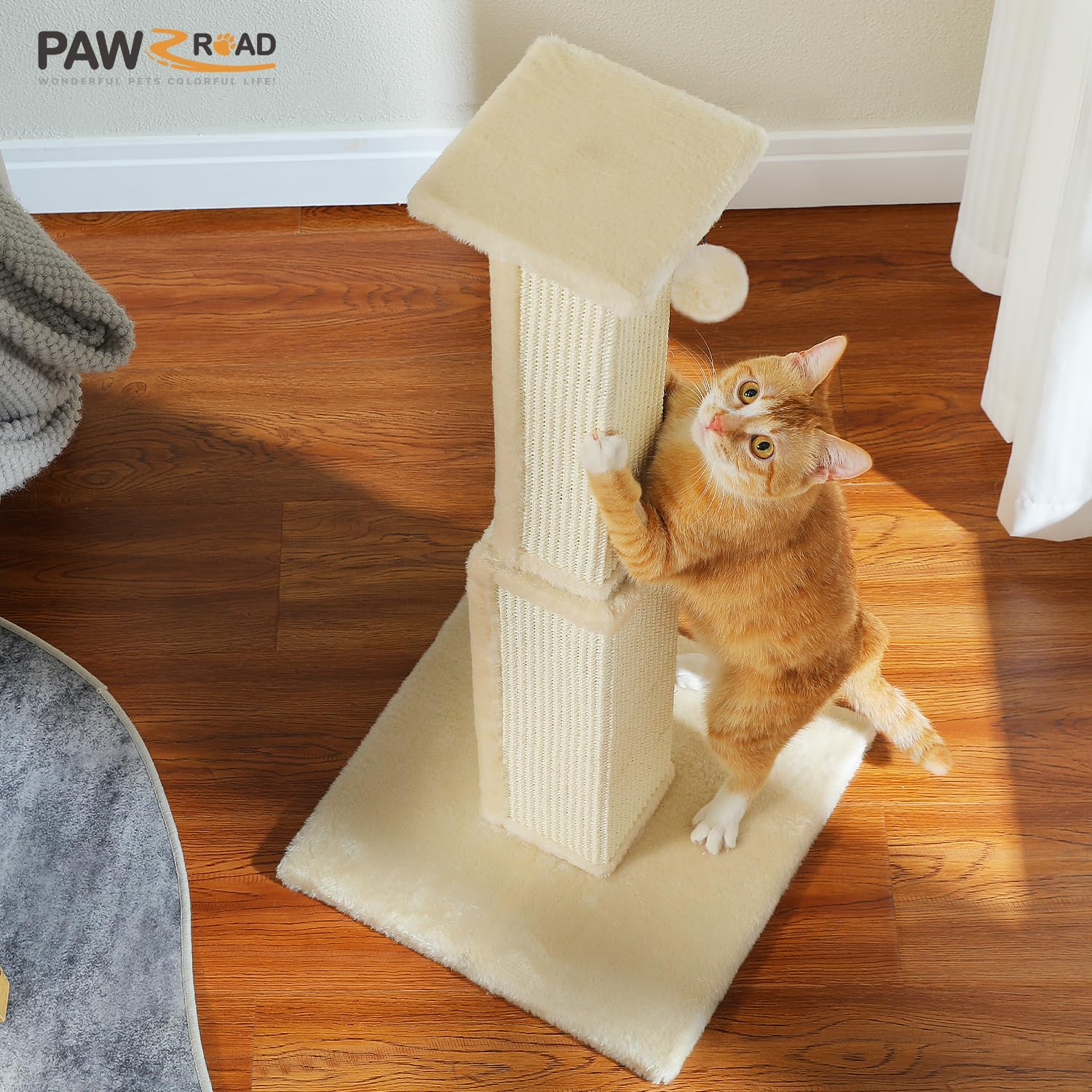 PAWZ Road cat playing at scratching post for exercise and scratching satisfaction.