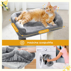 PAWZ Road cat scratching post bed play-balls spark playful hunting and interaction.