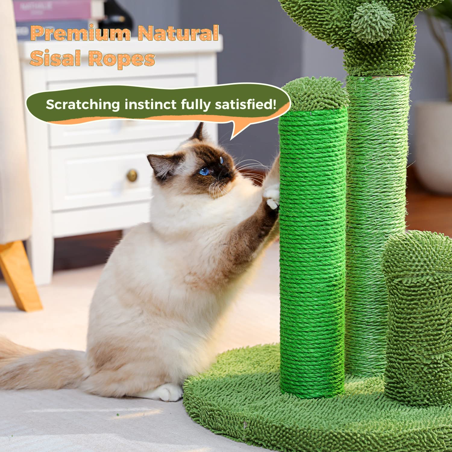 PAWZ Road large version supports cats of all sizes with plush top.