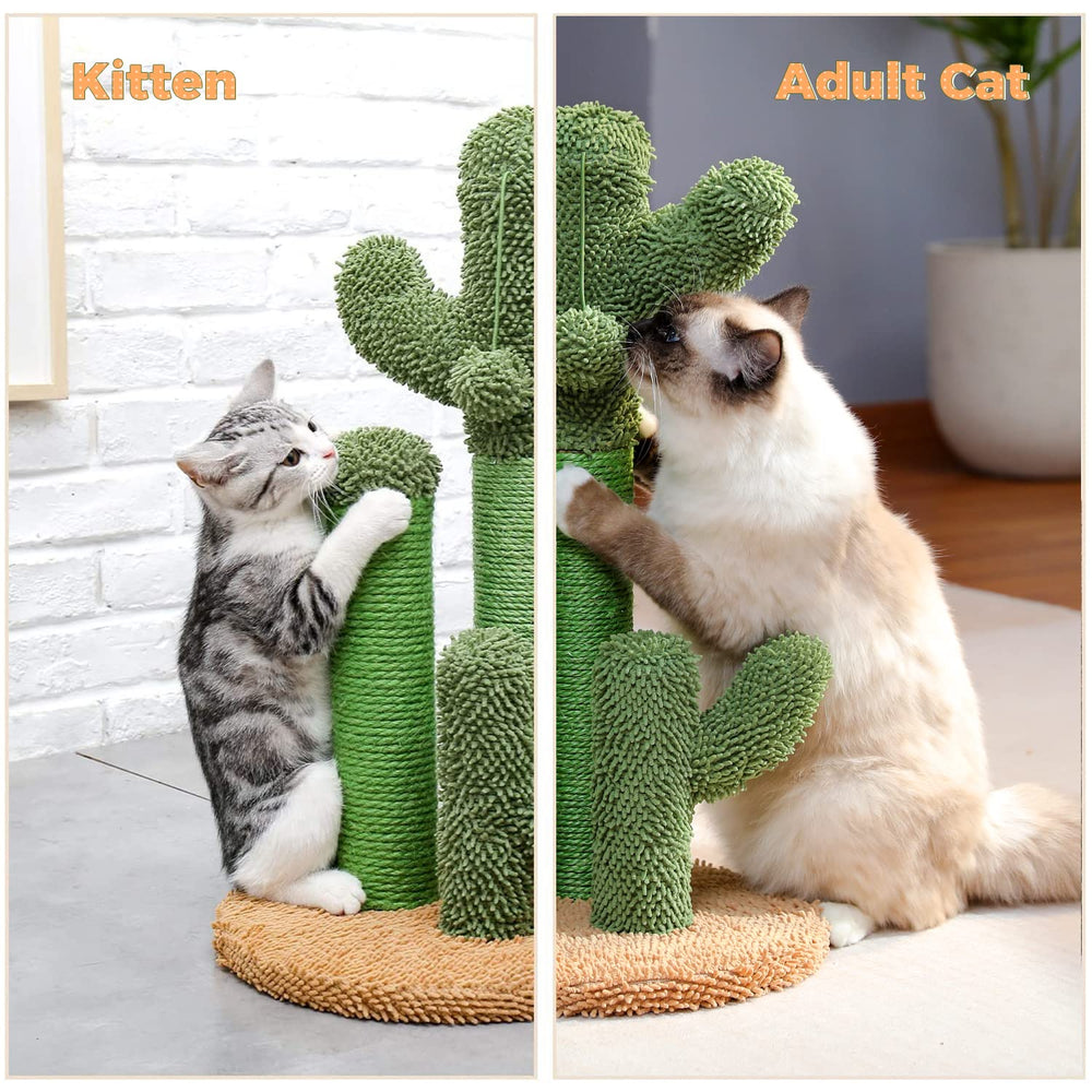 PAWZ Road cactus large-size post for adult cats seeking extra height.