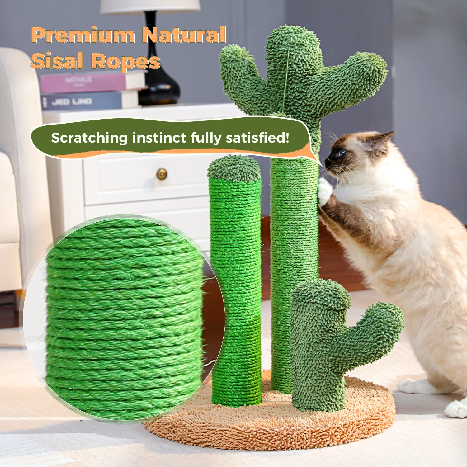 PAWZ Road cactus medium-size post designed for cats up to 10 lbs.