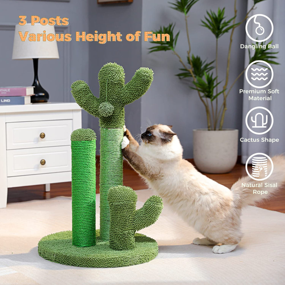 PAWZ Road cactus setup blends with decor while housing active cats.