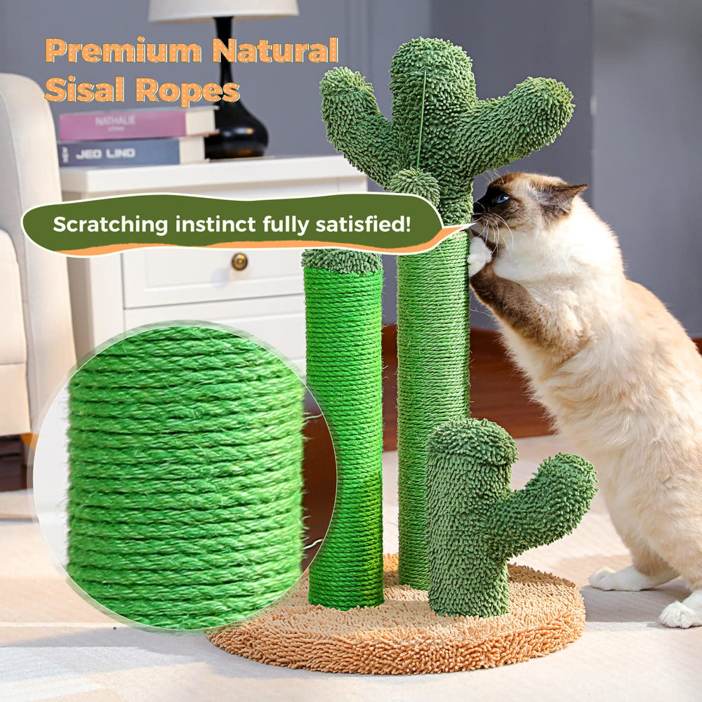 PAWZ Road cactus-room-decor fits modern home interiors