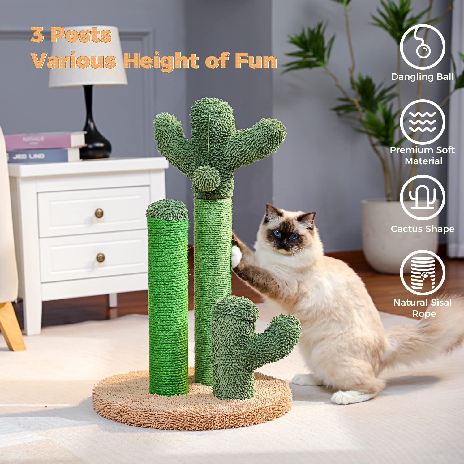 PAWZ Road cactus-soft-base close-up with paw-friendly carpet