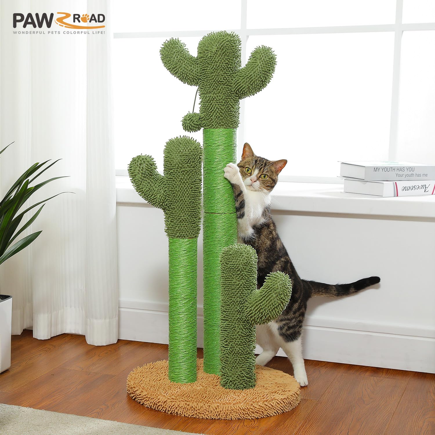PAWZ Road cactus post features plush carpet texture for paw-friendly comfort.