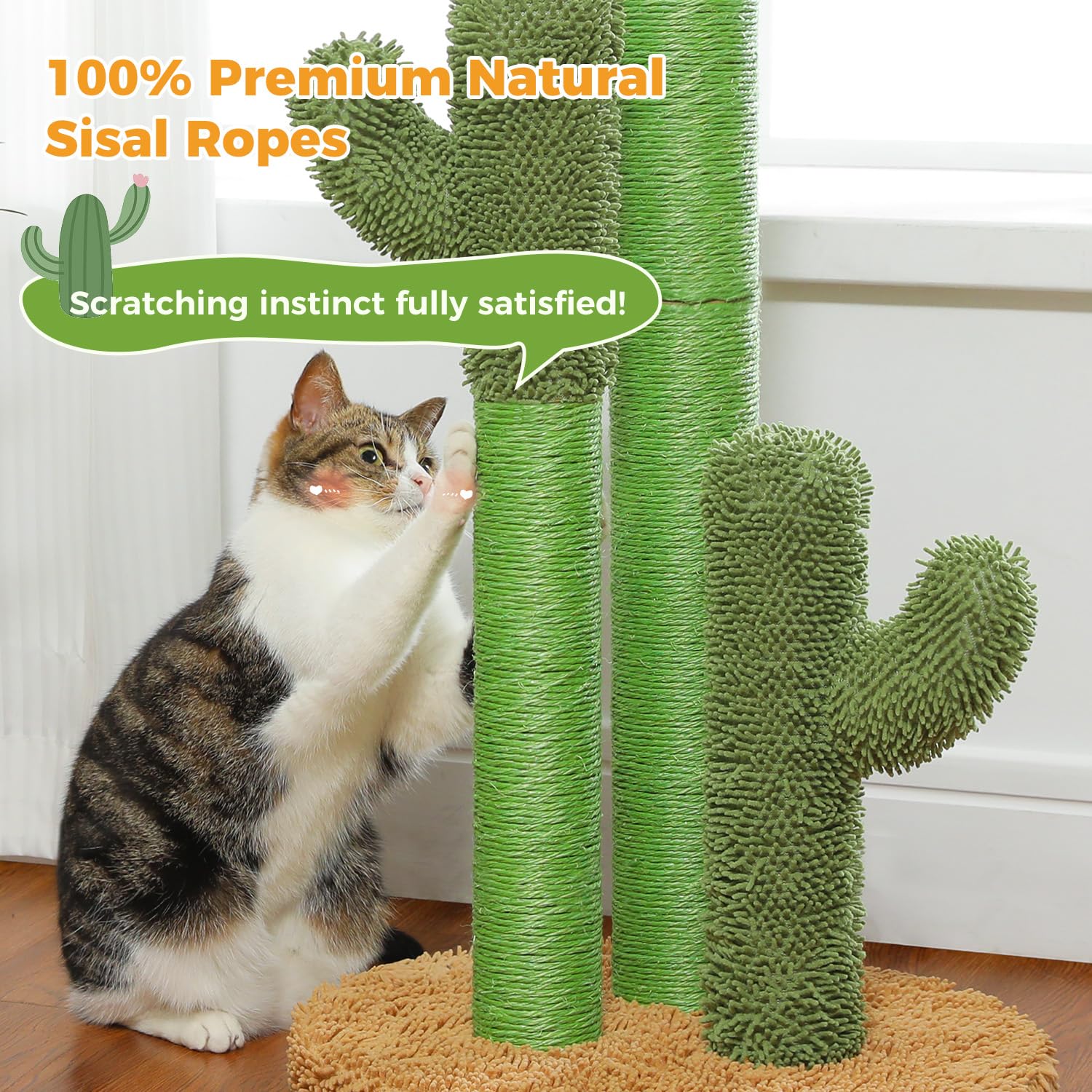 PAWZ Road cactus dangling ball invites interactive play and swatting.