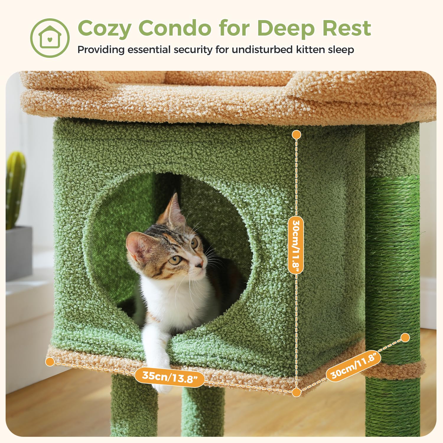 PAWZ Road 26-inch cat tree elevates play and rest.