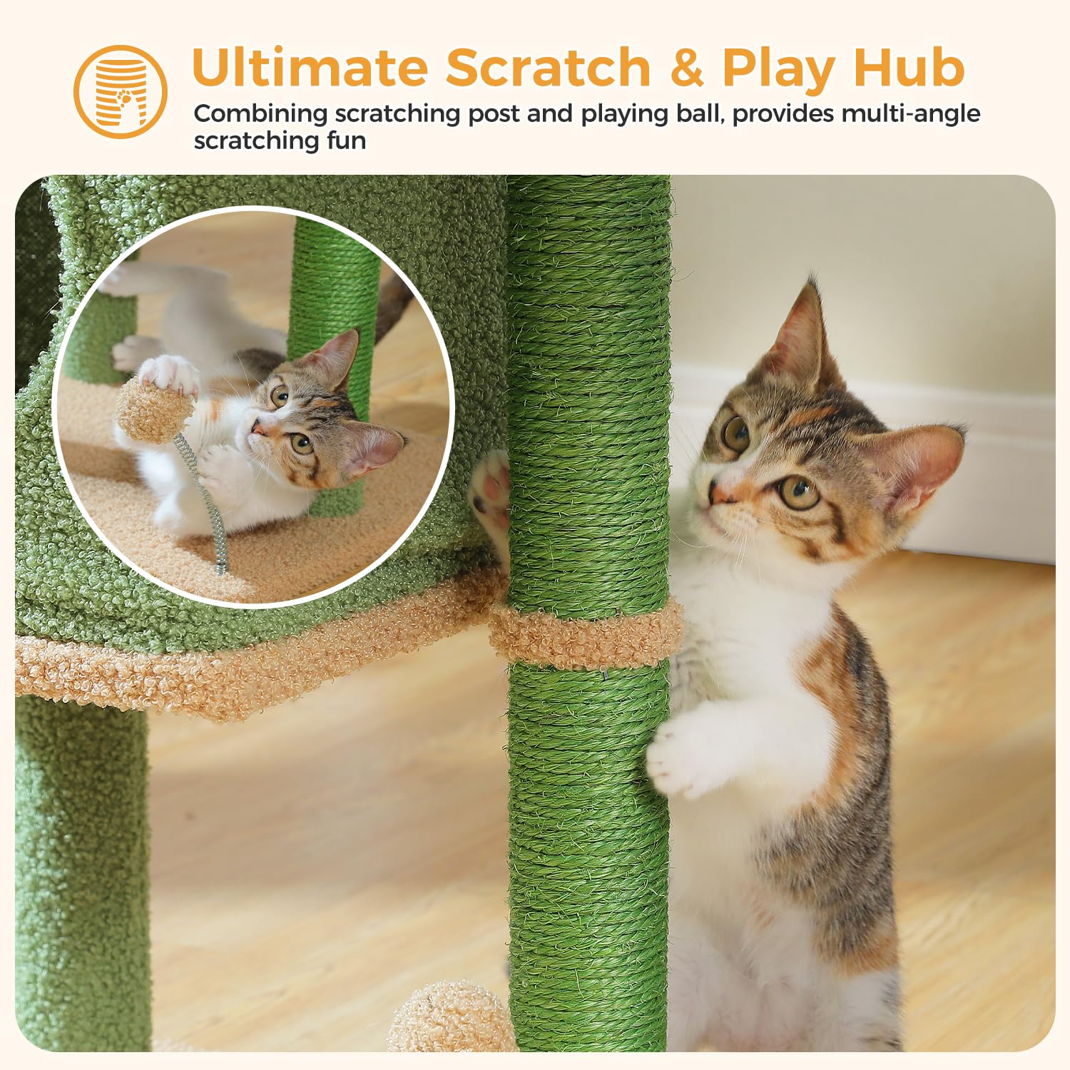 PAWZ Road compact footprint fits corners without crowding.