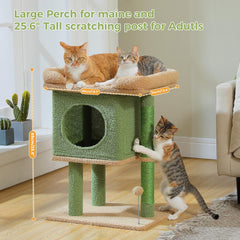 PAWZ Road spring ball boosts play and daily activity.