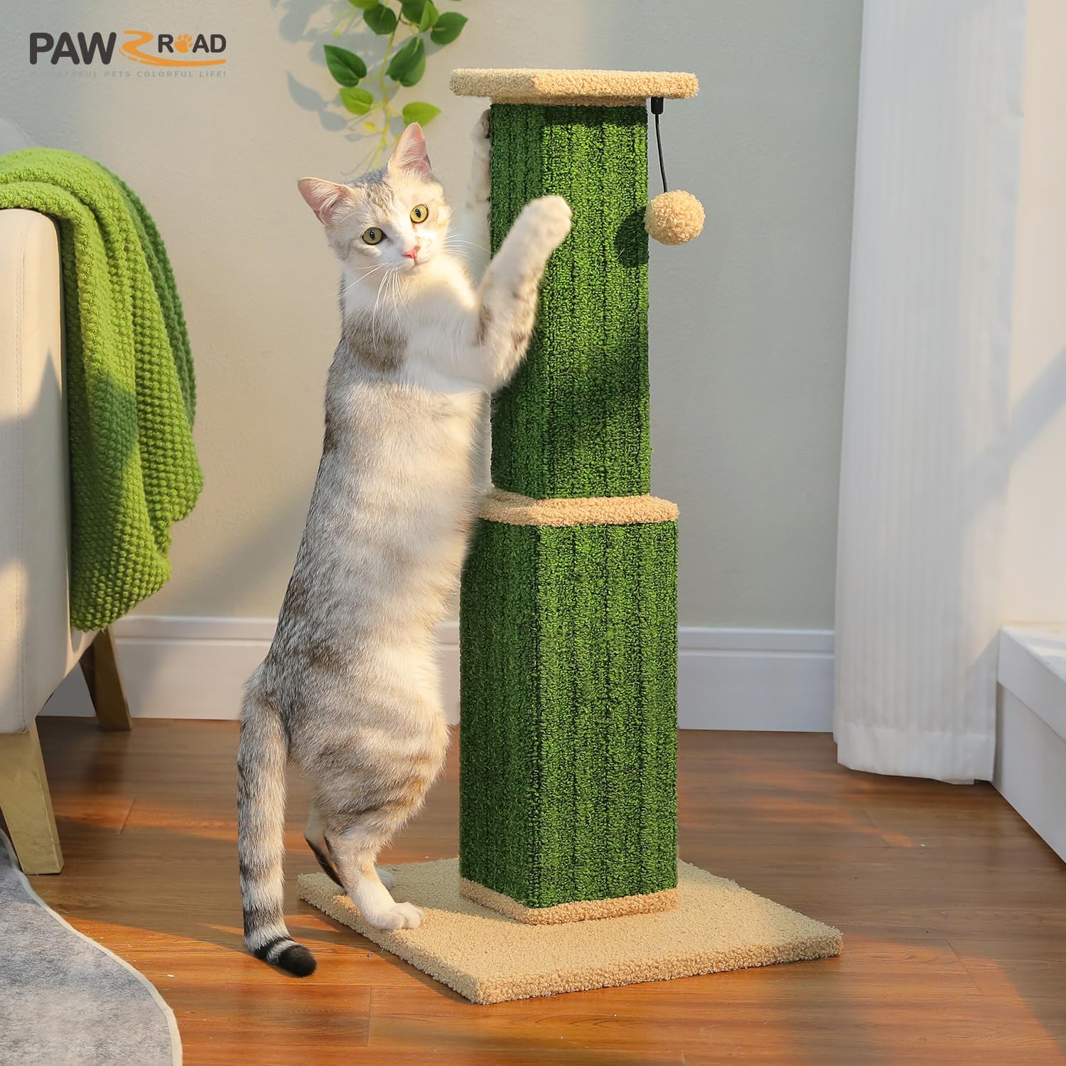 PAWZ Road cat uses post for stretching and scratching during playtime