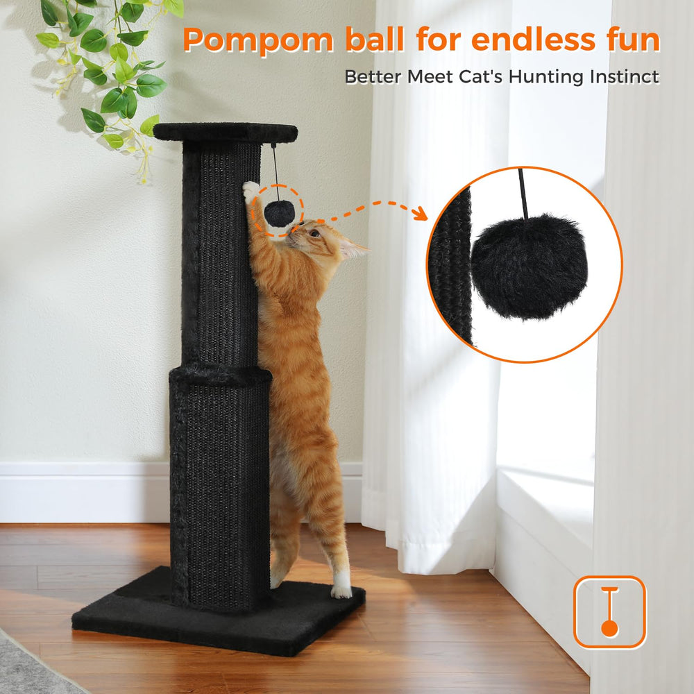 PAWZ Road dangling bird toy invites playful swats and chase.