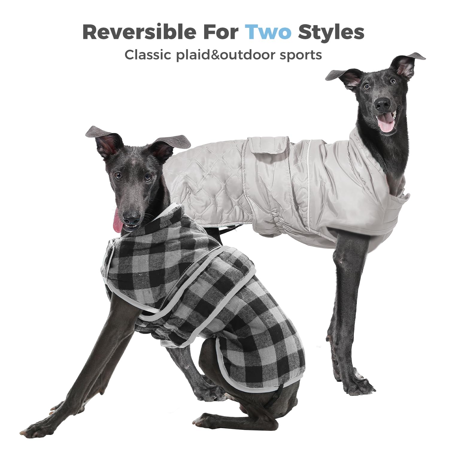 PAWZ Road leash hole and reflective strips boost night safety during walks