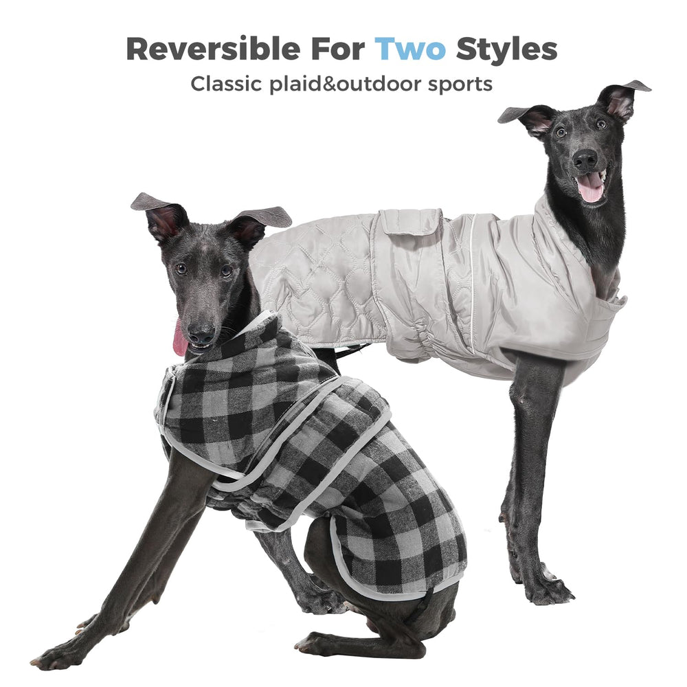 PAWZ Road leash hole and reflective strips boost night safety during walks