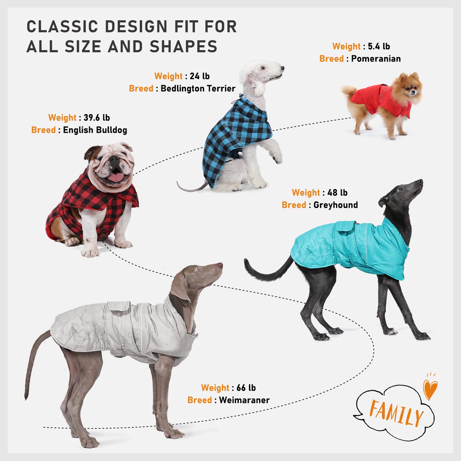 PAWZ Road size range XS to XXXL accommodates many breeds and builds