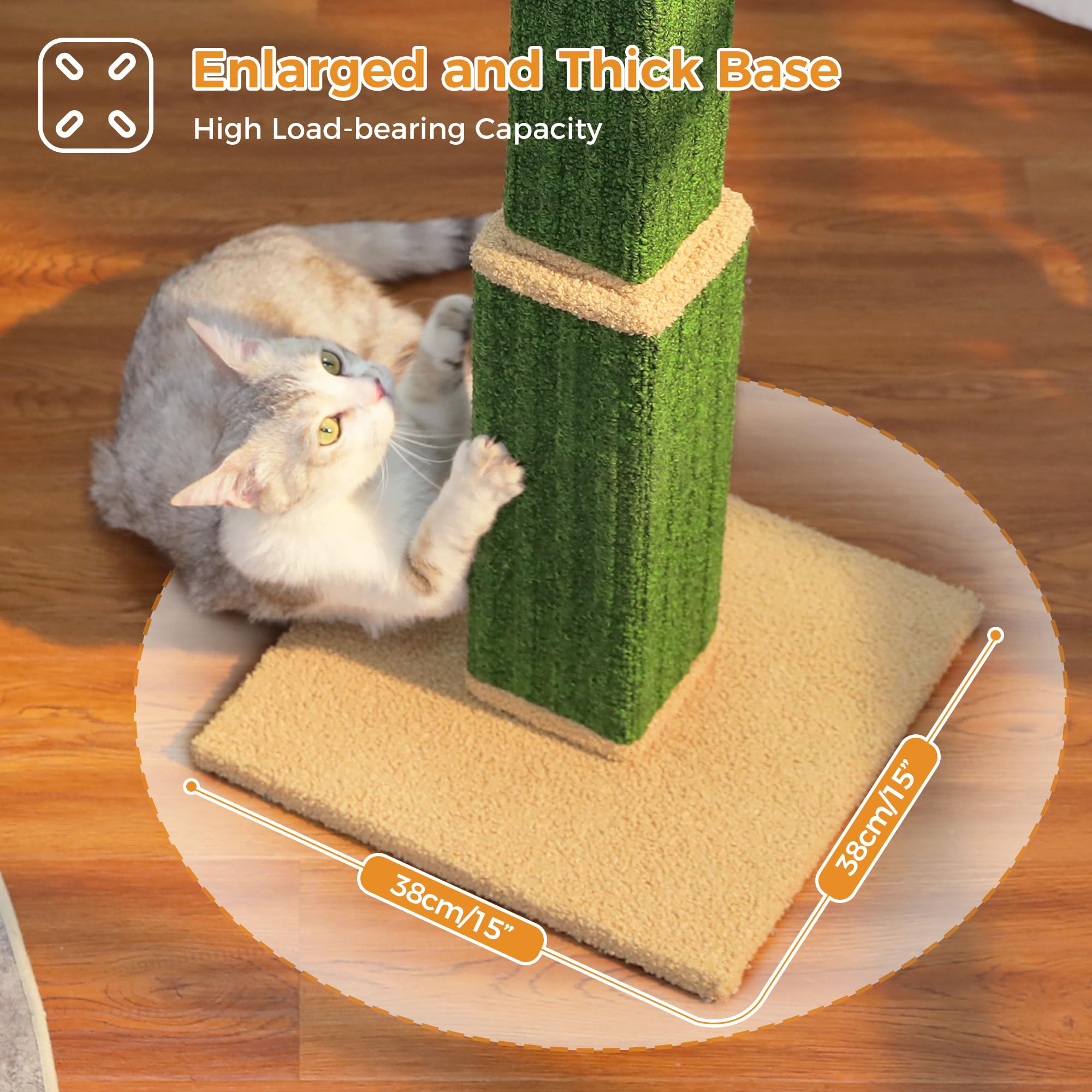 PAWZ Road indoor decor green blends with modern interiors while entertaining cats