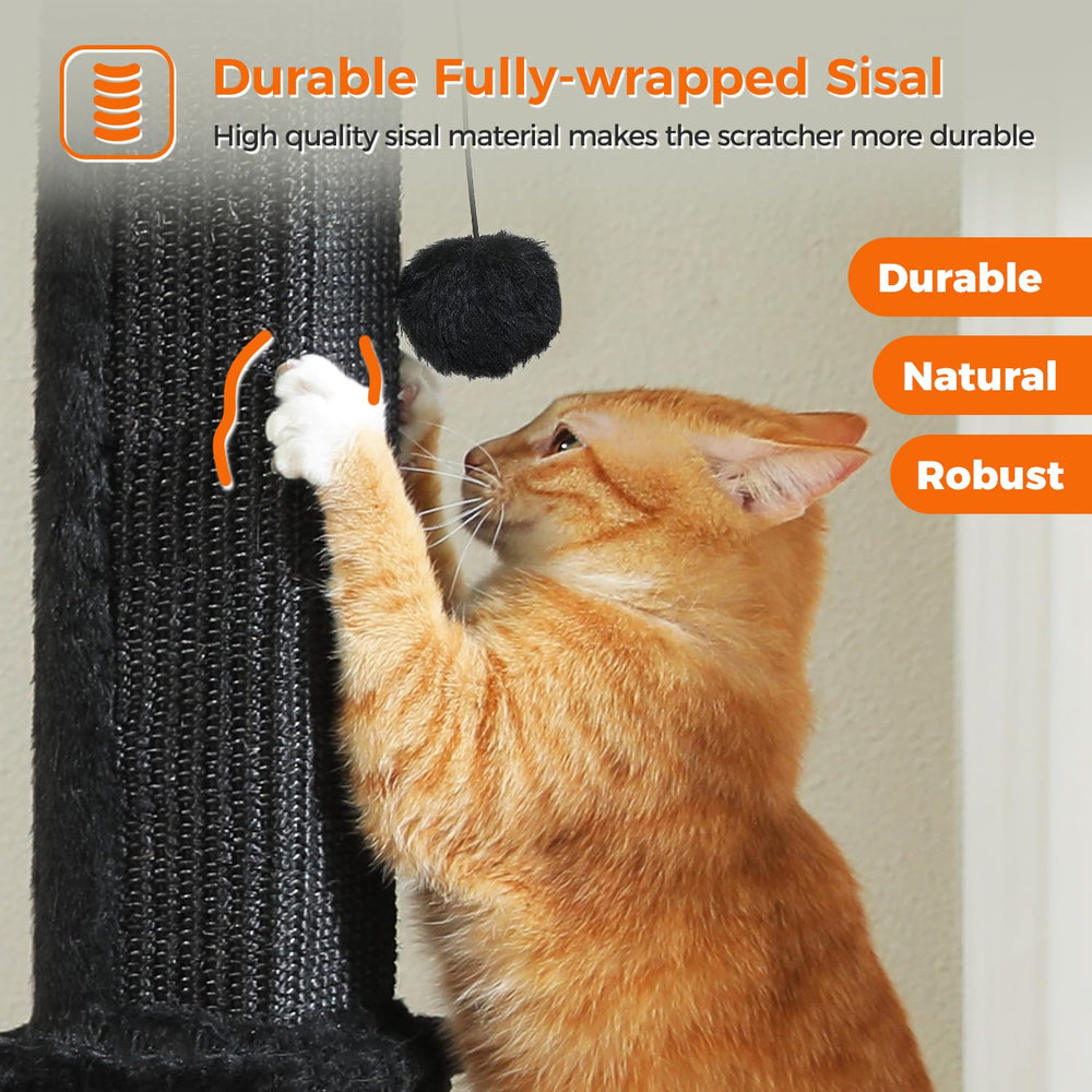 PAWZ Road large base and height encourage full-body stretching.