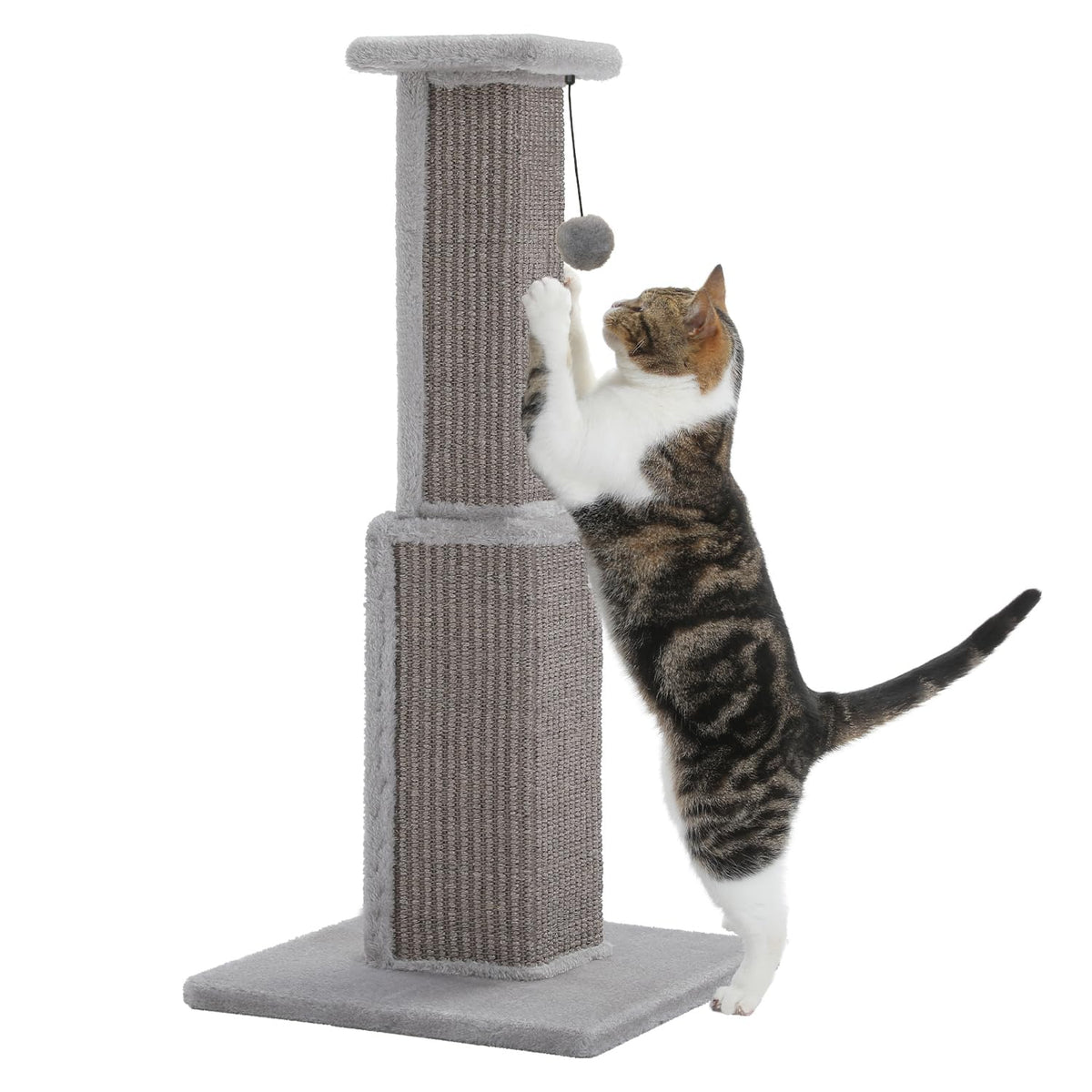 PAWZ Road large cat scratching post 32in tall offers space to scratch and stretch.
