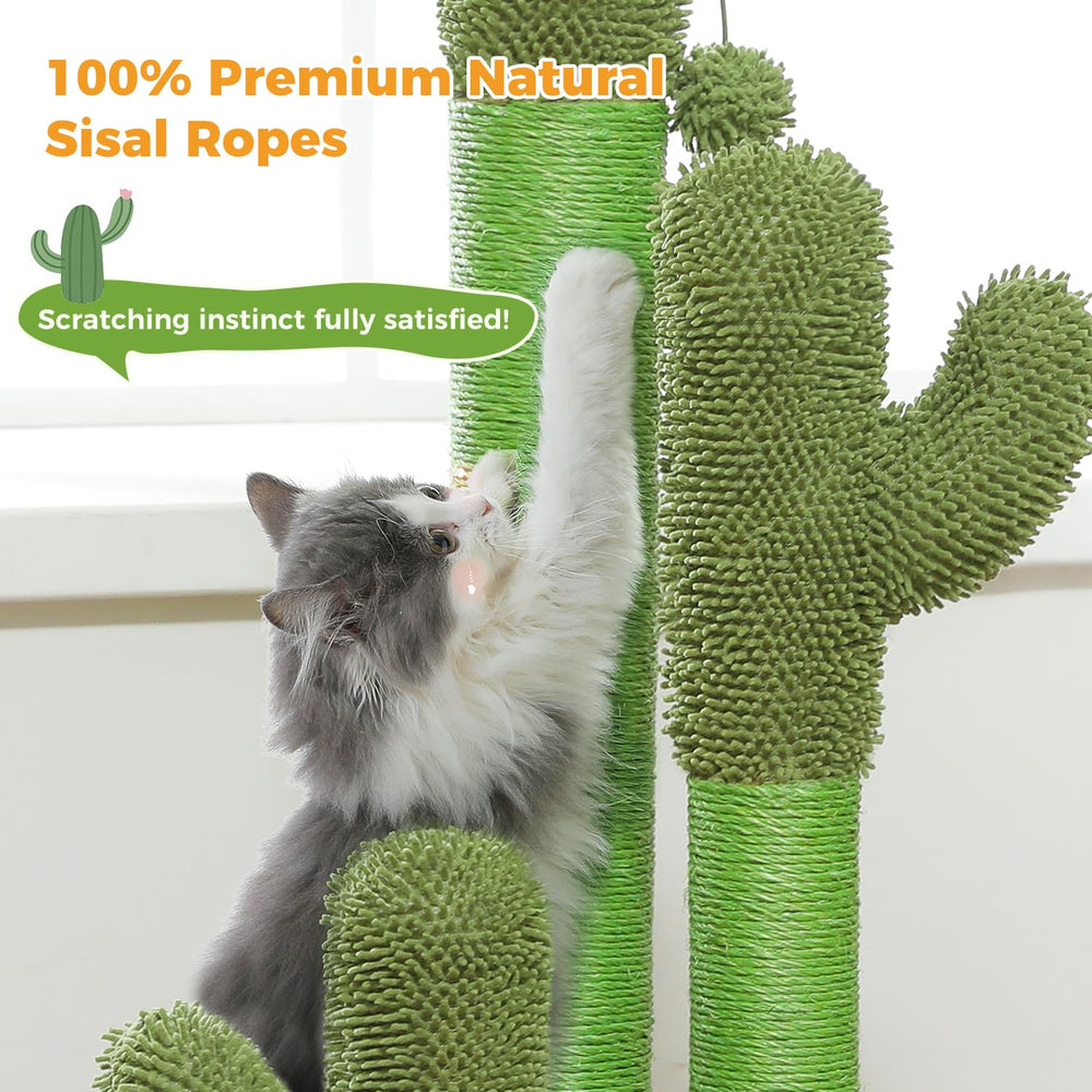 PAWZ Road soft-carpet top-and-base offers paw-friendly comfort during climbs.
