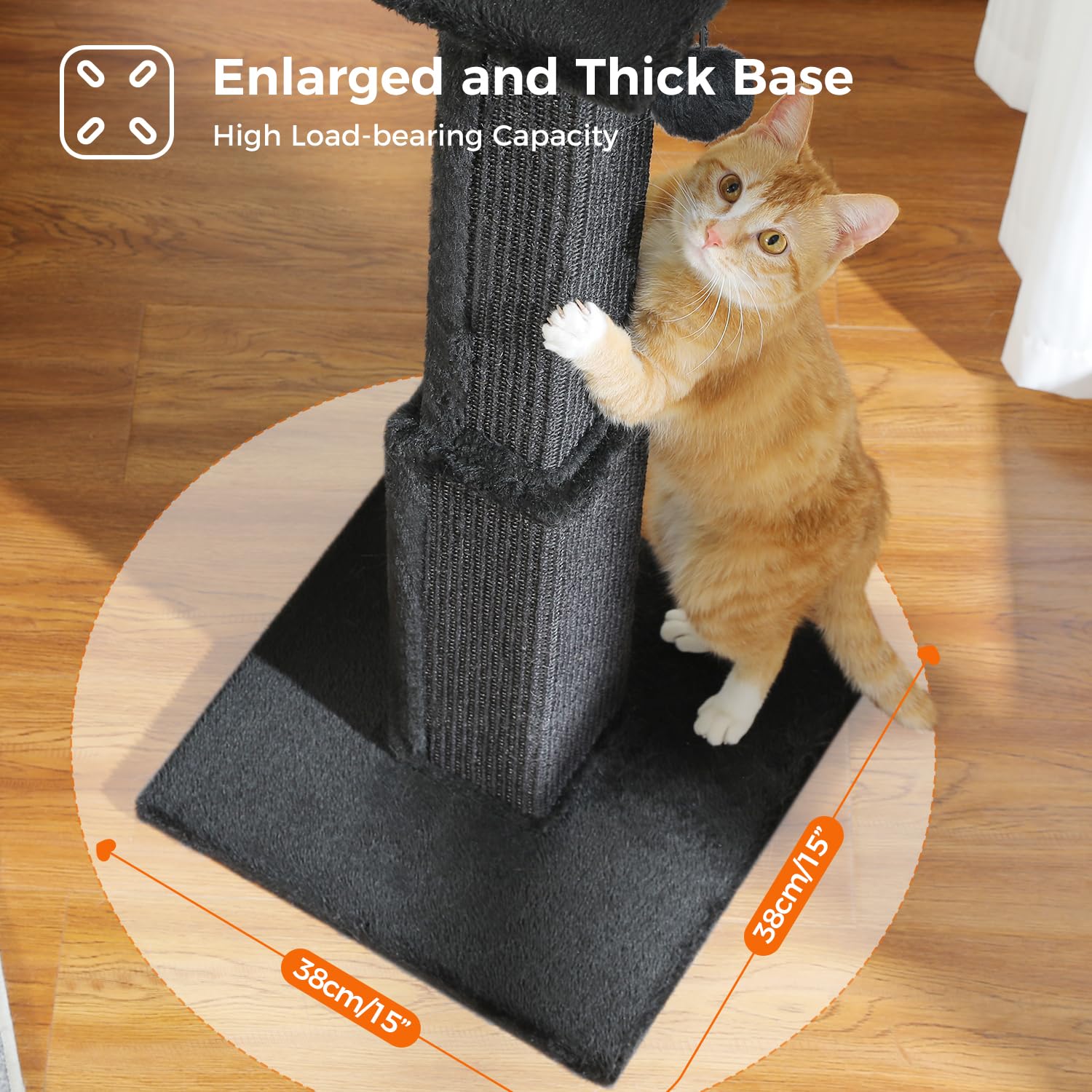 PAWZ Road top perch offers higher vantage for observation.