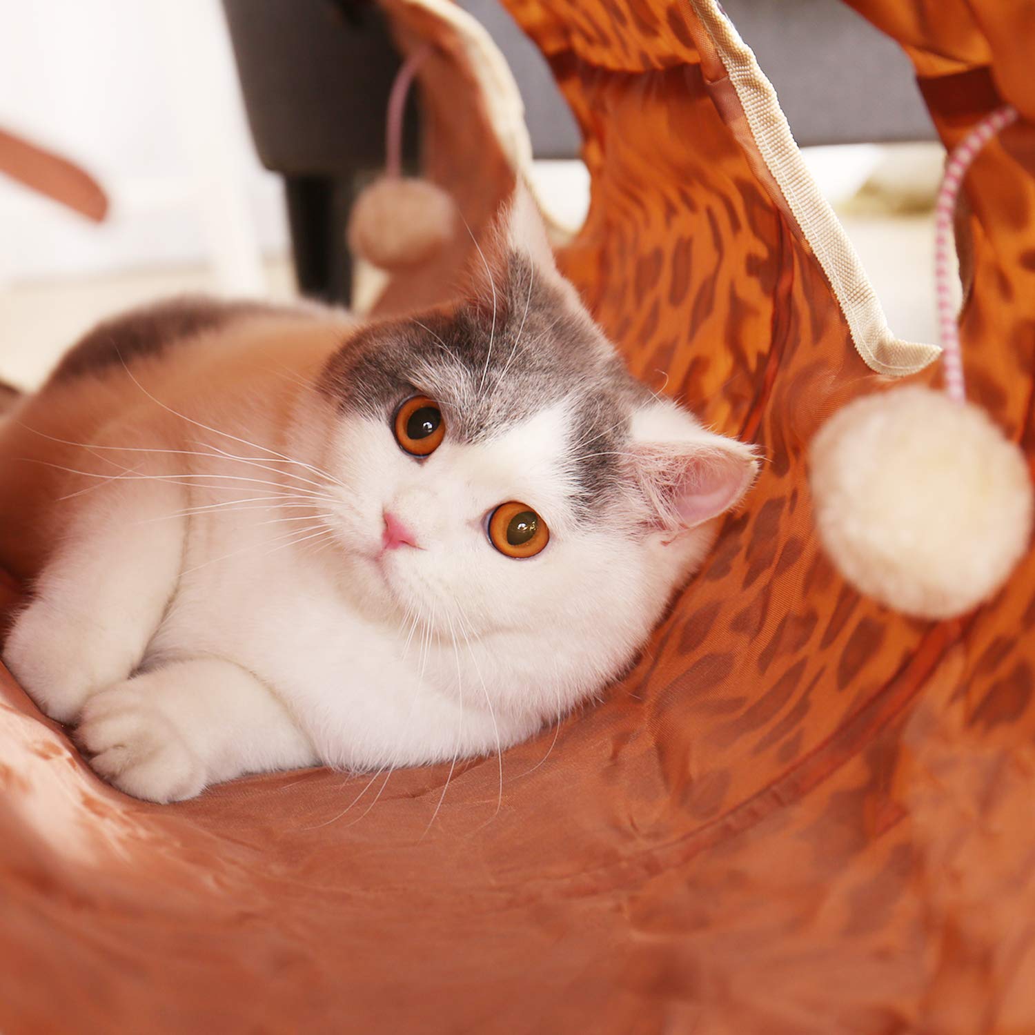 PAWZ Road XL tunnel big cat play image emphasizes spacious 12-inch opening for large cats.