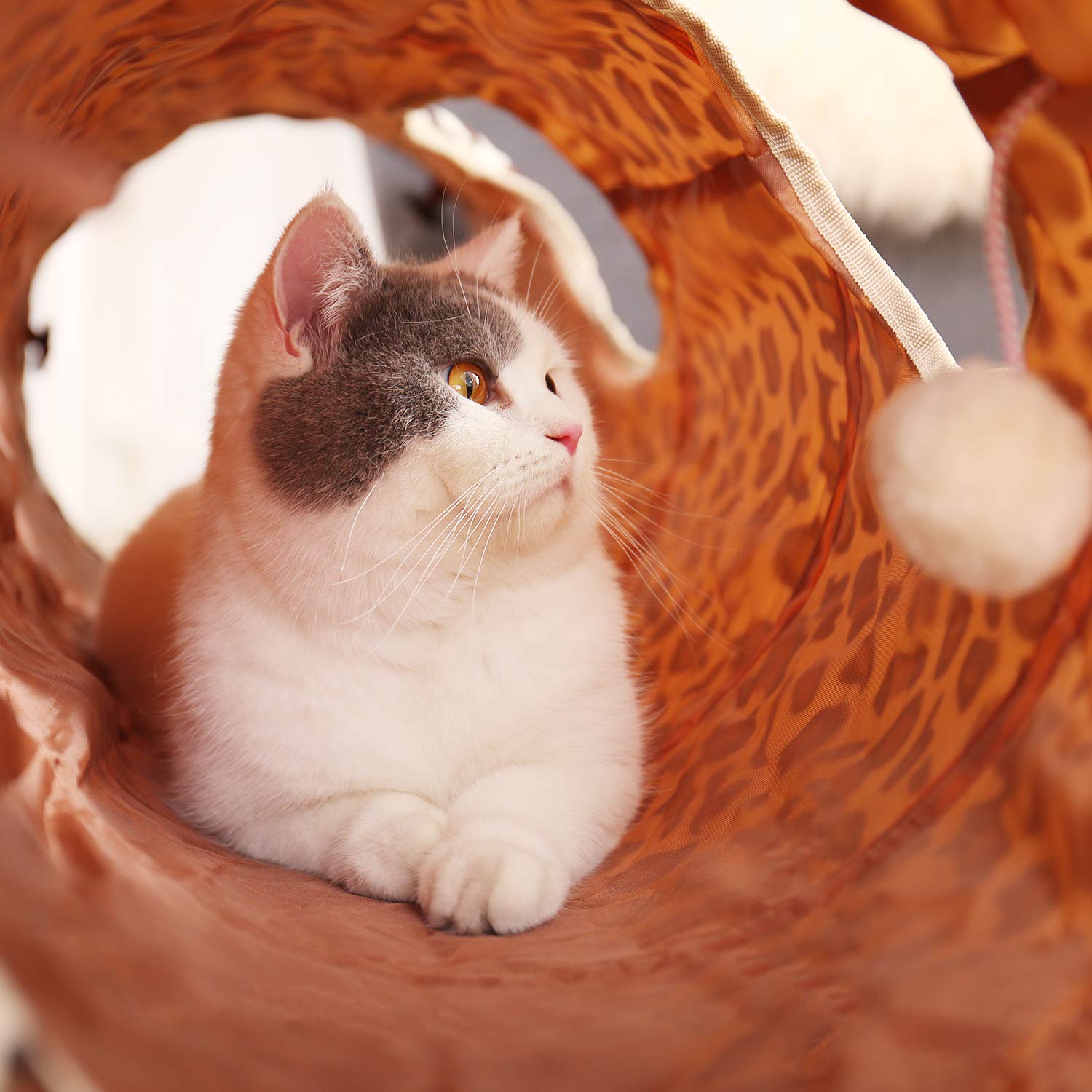 PAWZ Road XL tunnel crinkle fabric showcases stimulating exterior texture for curious pets.
