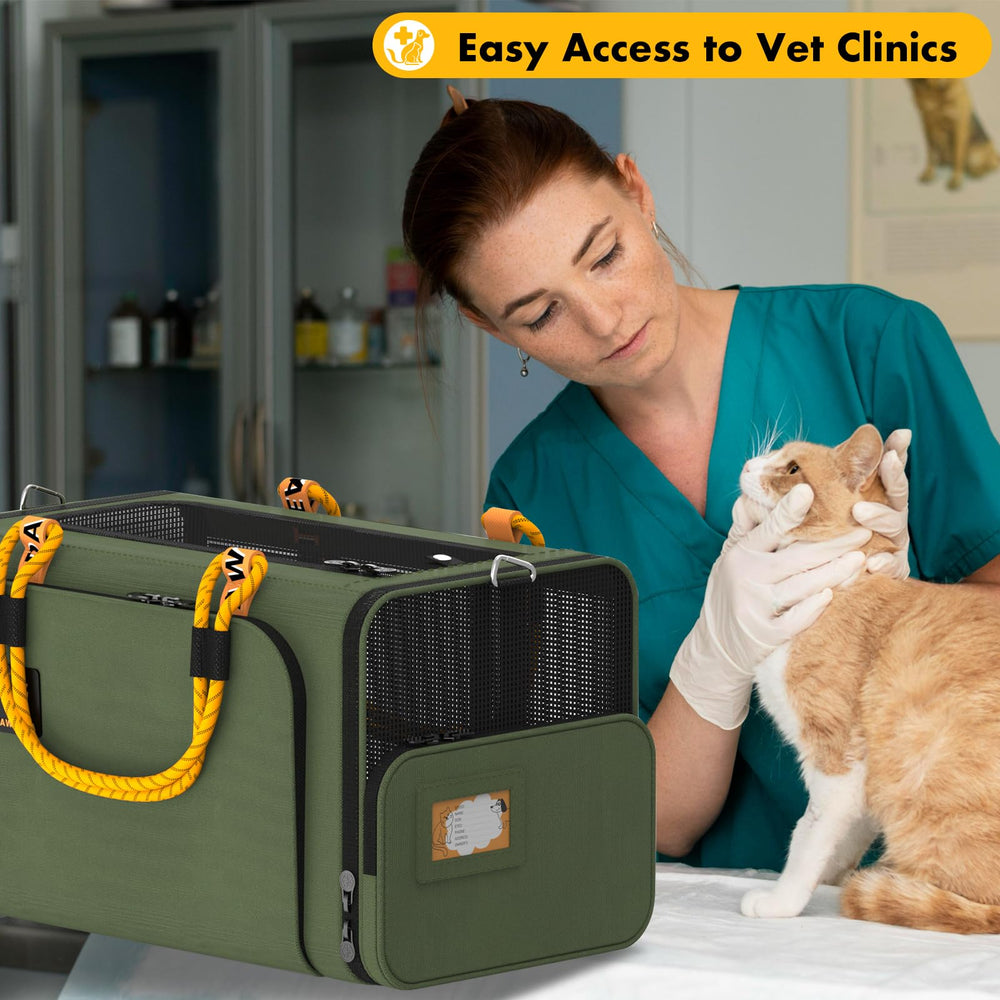 PAWZIDEA shoulder strap with pad doubles as a leash for outings