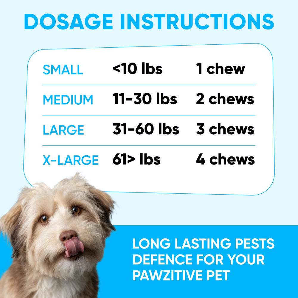 Pawzitive Pets collar-free flea-tick treatment option demonstrates ease of use.