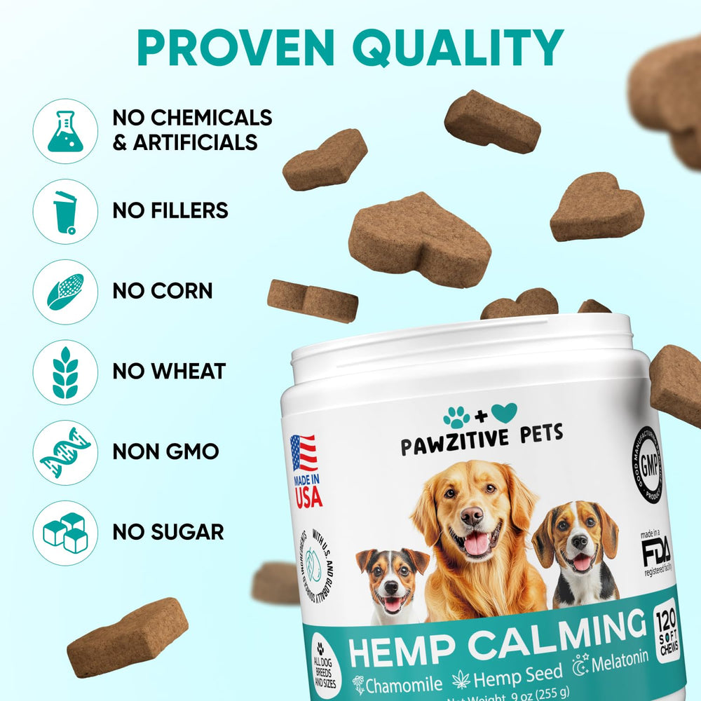 Pawzitive Pets hemp calming chews car travel scene suggesting smoother rides