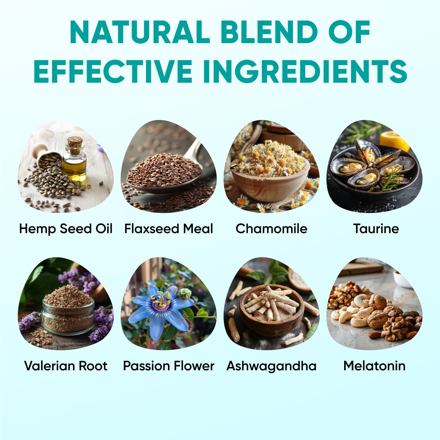 Pawzitive Pets hemp calming chews dog relaxed on floor during calm moment