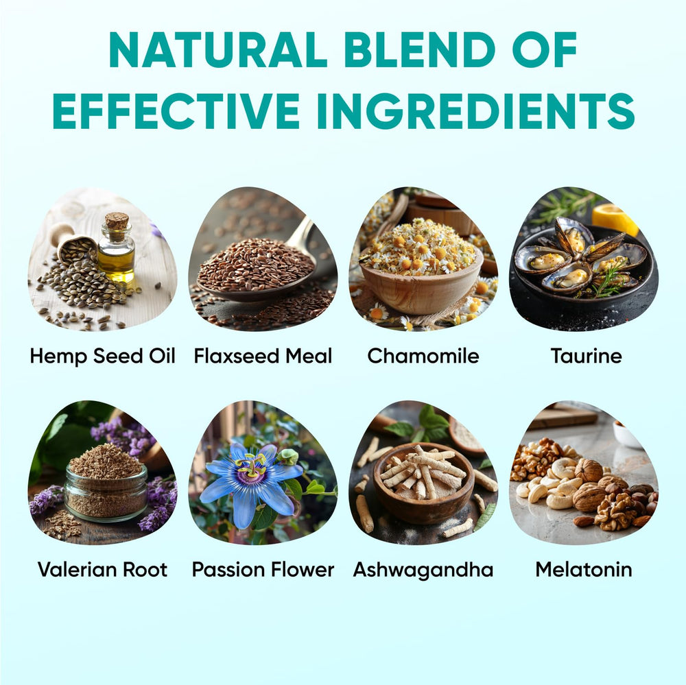 Pawzitive Pets hemp calming chews dog relaxed on floor during calm moment