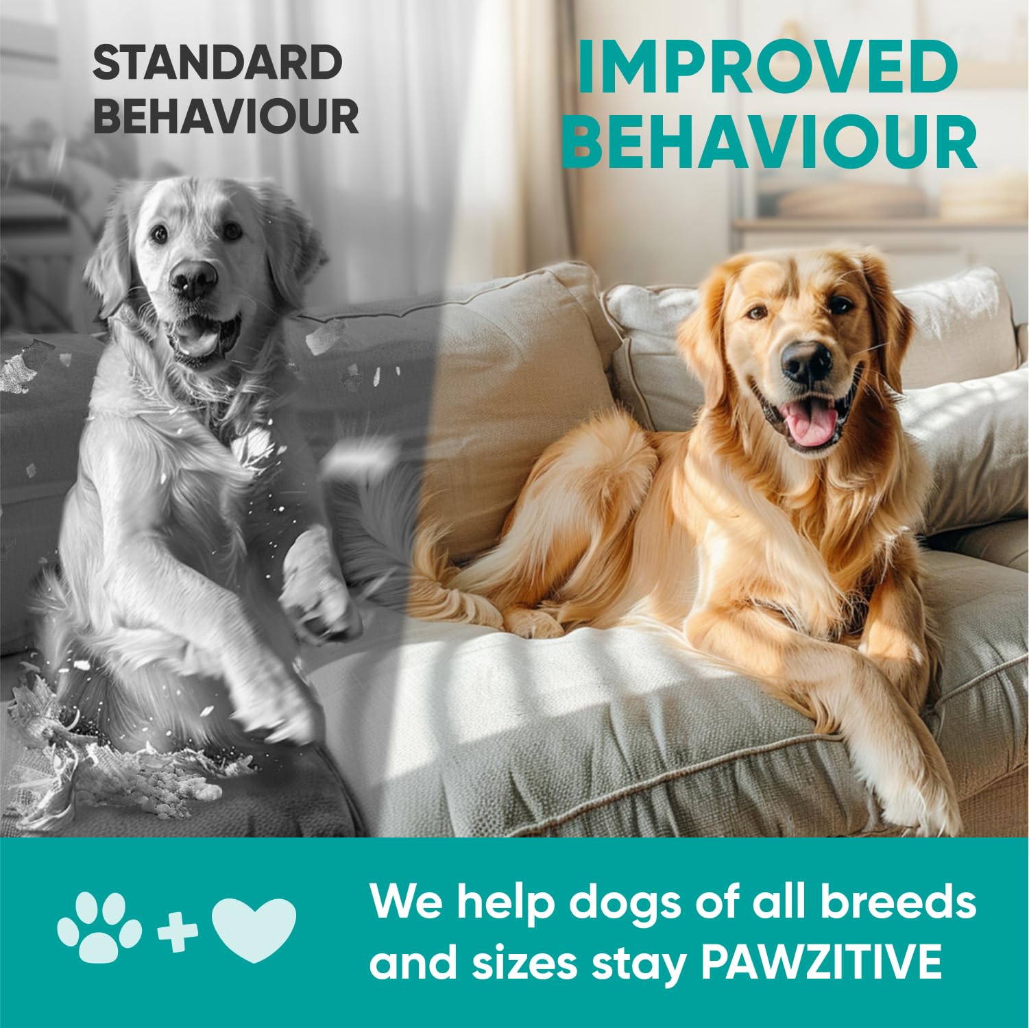 Pawzitive Pets hemp calming chews melatonin ingredient highlight for sleep support