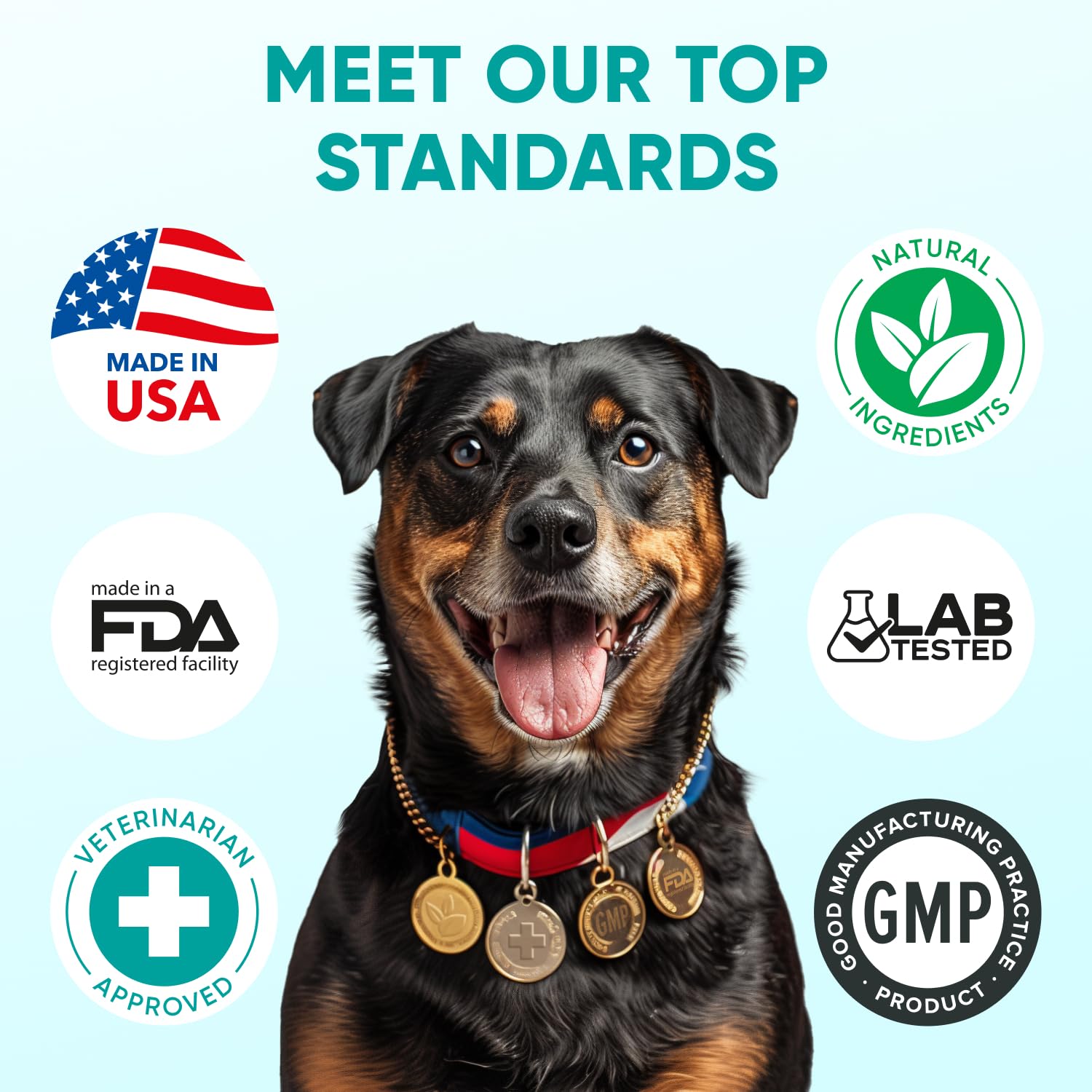 Pawzitive Pets hemp calming chews vet visit scene implying calmer appointments