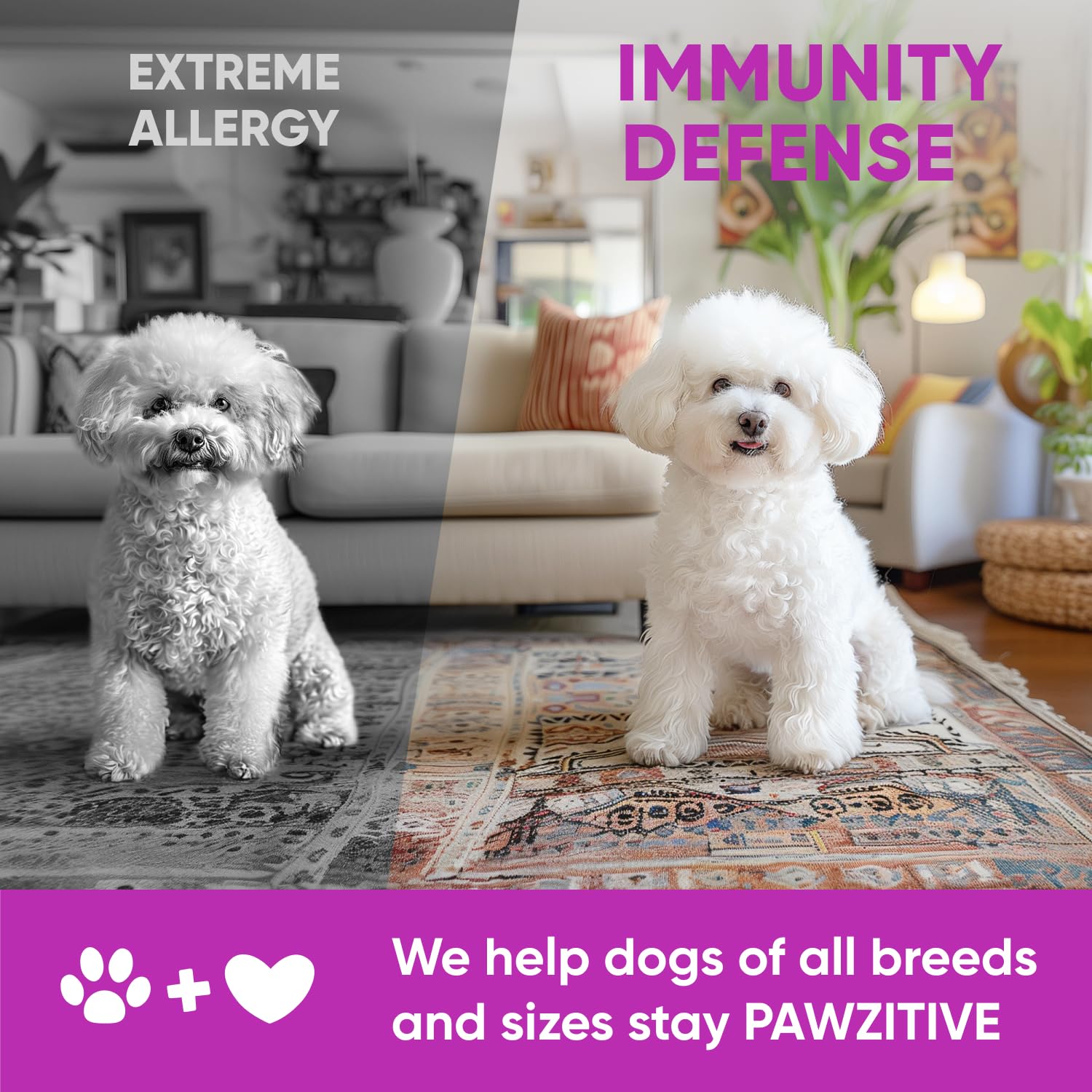 Pawzitive Pets made-in-USA label signaling quality manufacturing