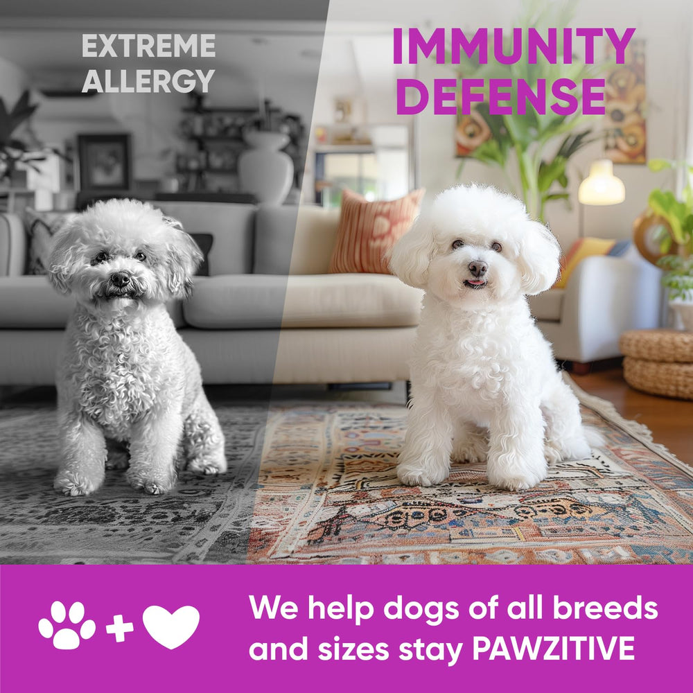 Pawzitive Pets made-in-USA label signaling quality manufacturing