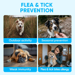 Pawzitive Pets soft-chews closeup highlights tasty texture for daily protection.