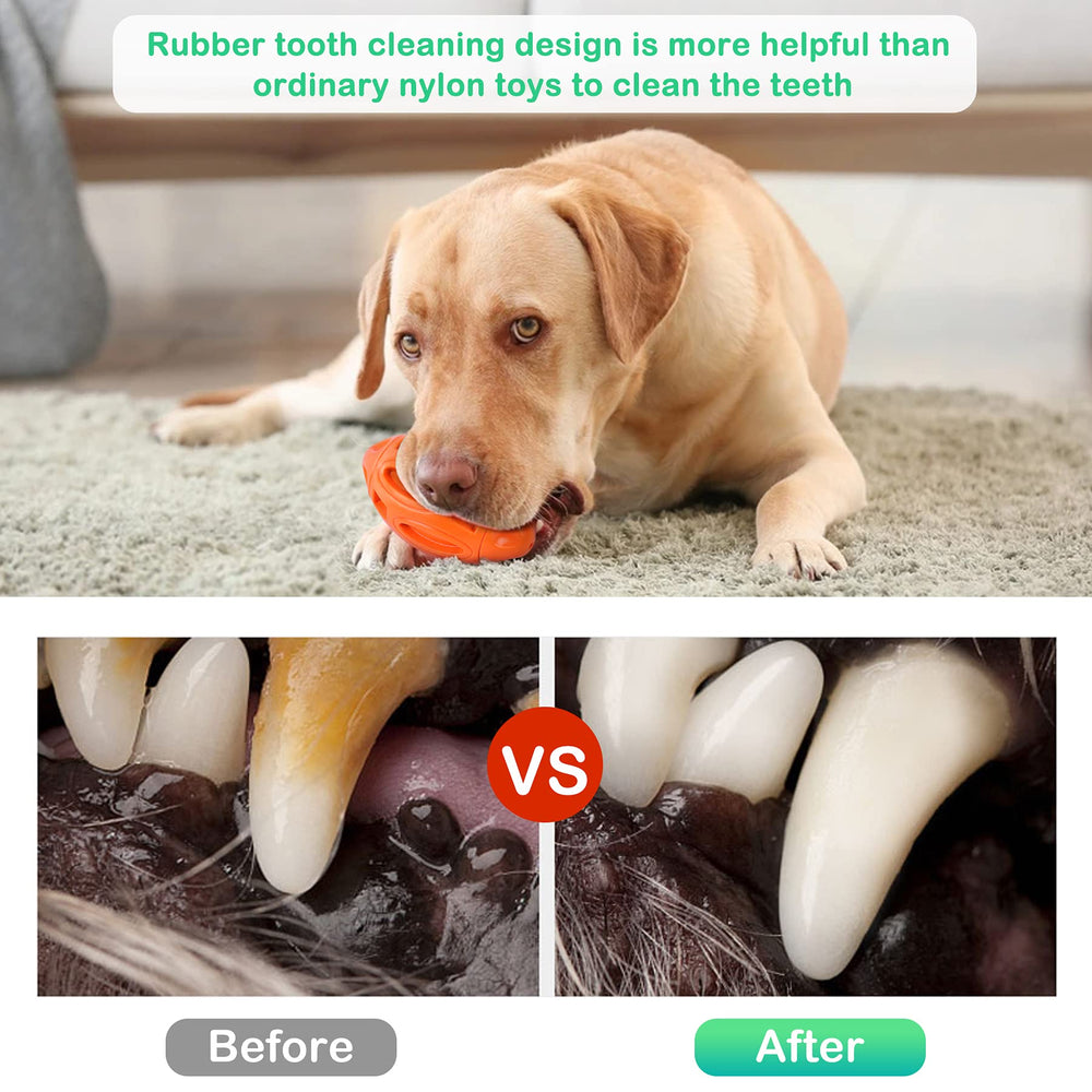 Pawzone interactive dog toy supports indoor and outdoor training and fetch