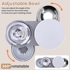 Pawzone stainless steel bowl and dispenser close-up highlights durable materials.