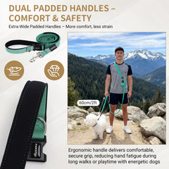 PAWZPAL bungee shock absorption reduces jolts during sudden pulls.