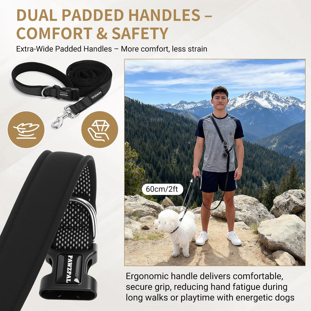 PAWZPAL reflective-stitching leash improves night visibility for safer walks