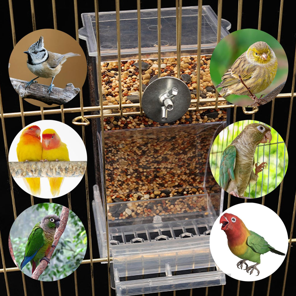 Paxlkuao Cage Mount with screws for secure installation