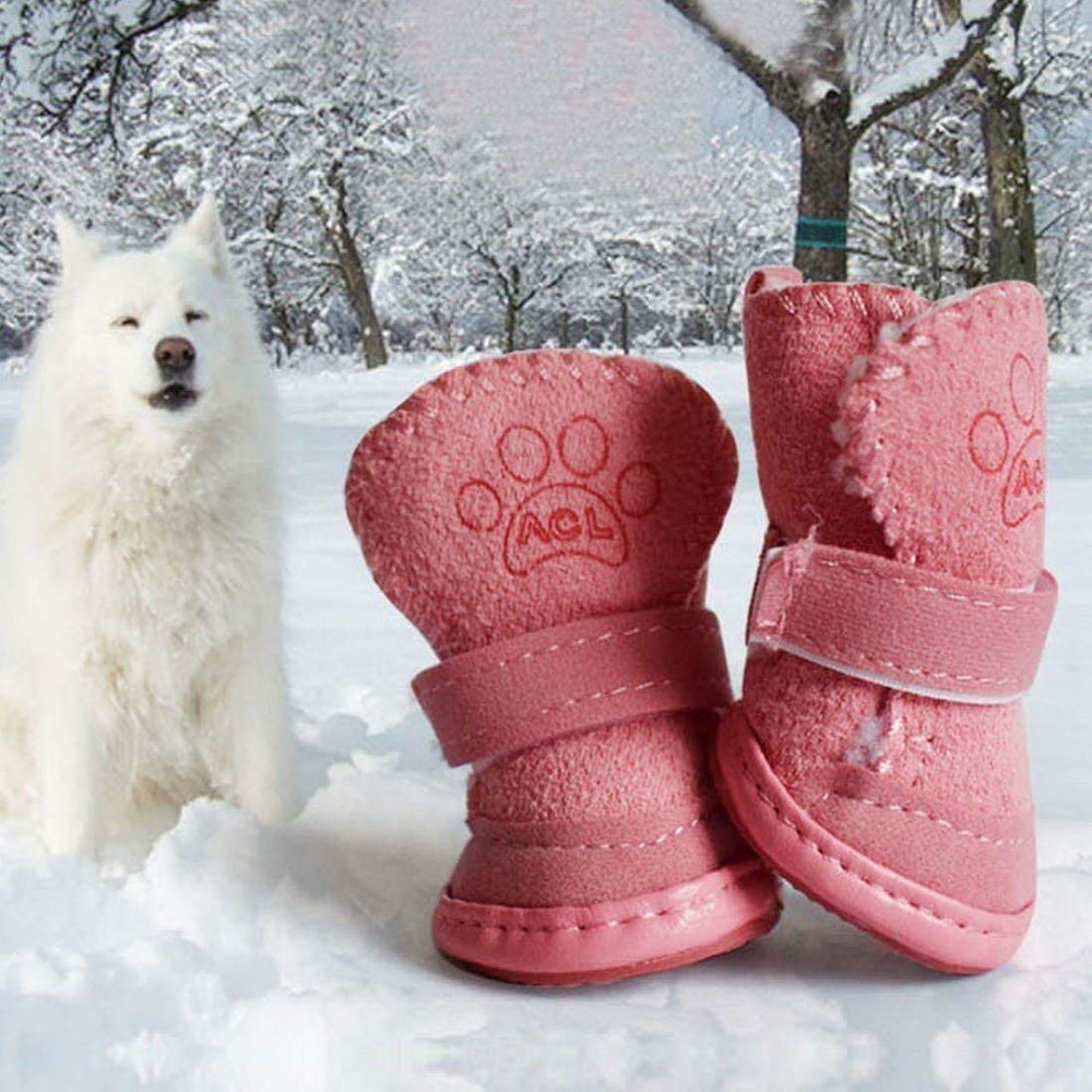 Payanwin Australia Boots pink indoor-use view demonstrates paw-cleaning and dirt containment.