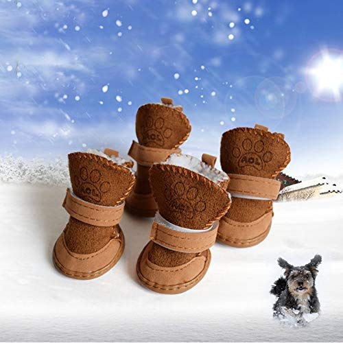 Payanwin Puppy Boots four color options shown for stylish paw protection.