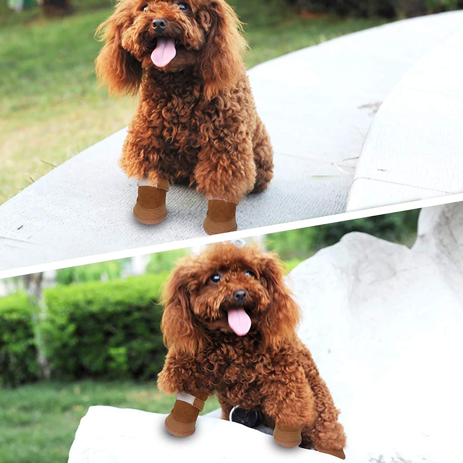 Payanwin Puppy Boots worn on a puppy during an outdoor walk for protection.