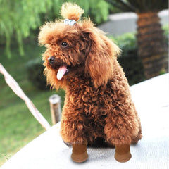 Payanwin Puppy Boots size chart display to identify a snug fit.